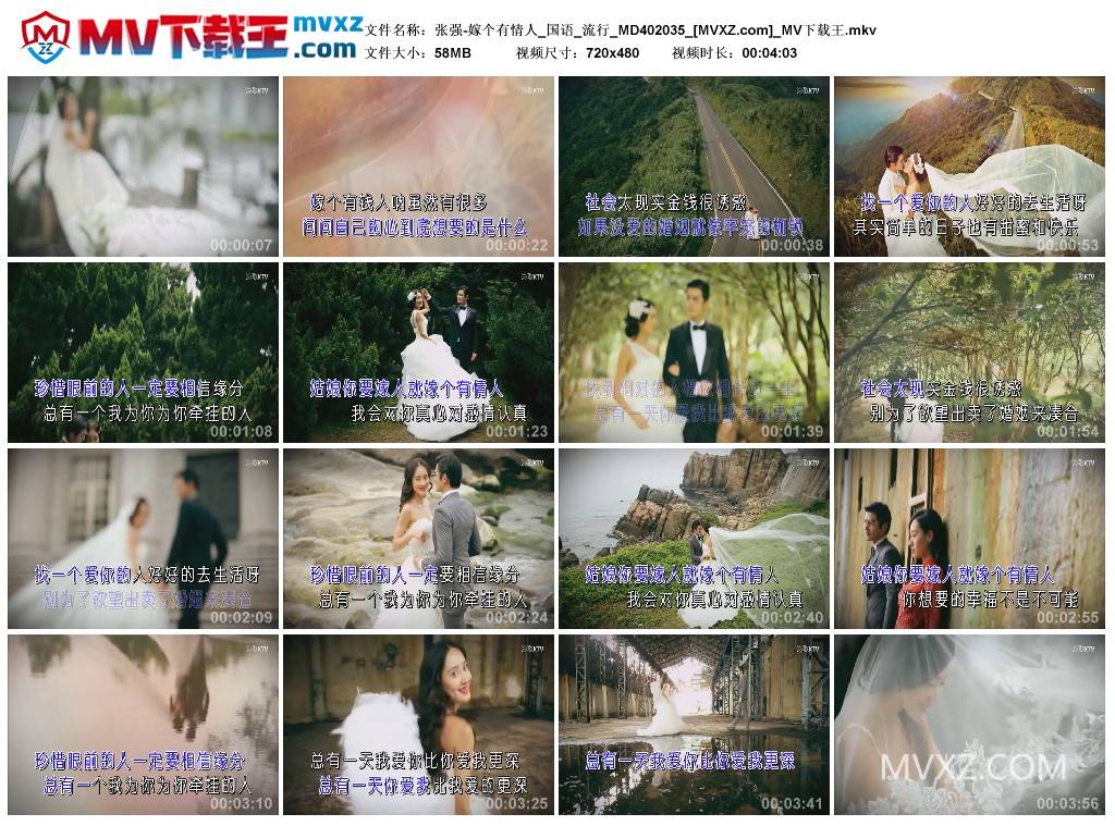 张强-嫁个有情人_国语_流行_MD402035